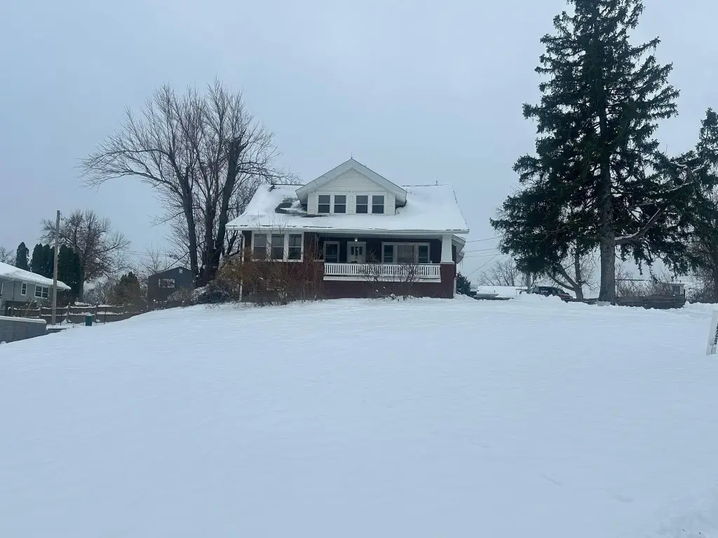 Picture 3