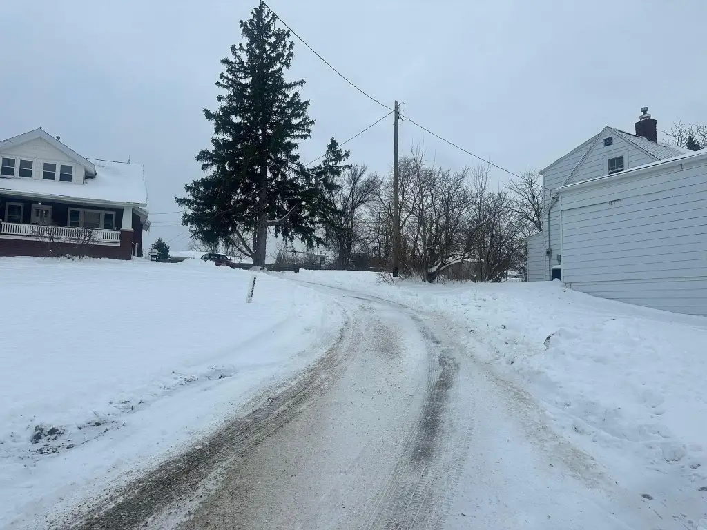 Picture 4