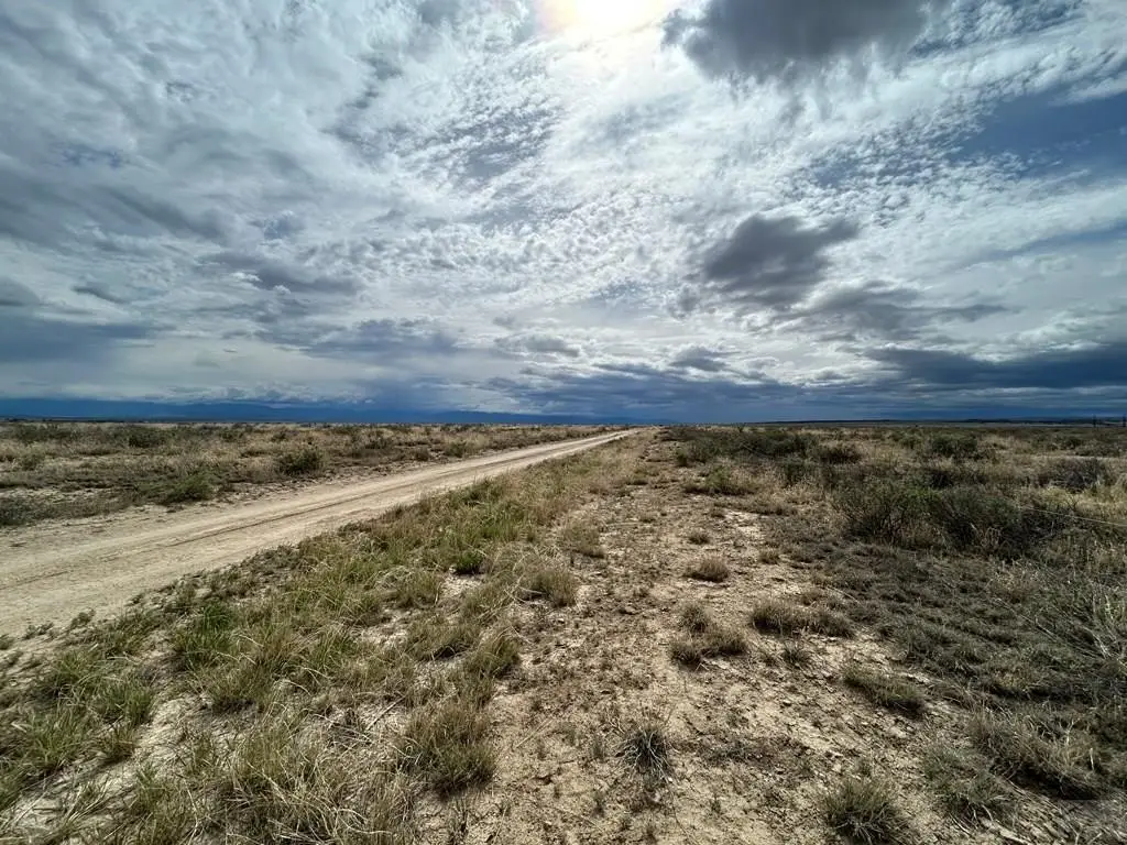 Picture 4