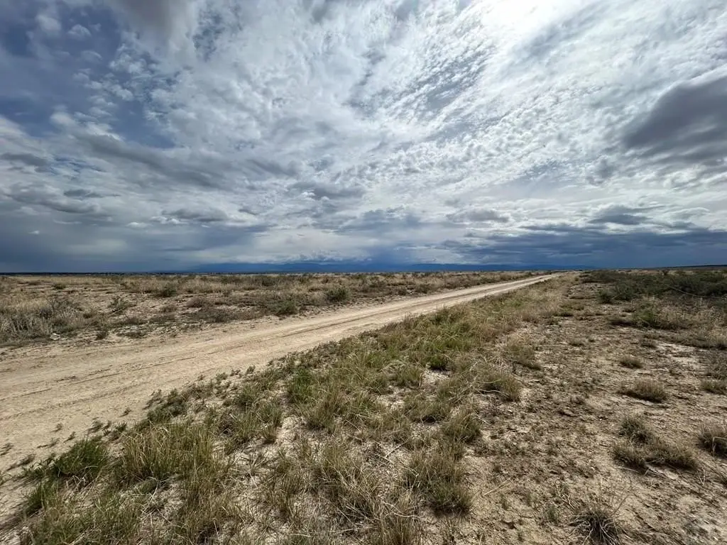 Picture 5