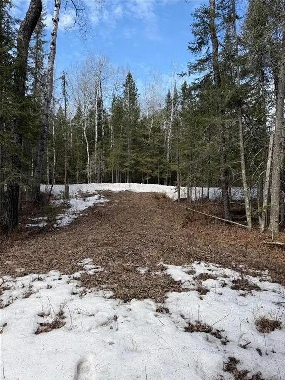 Picture 3
