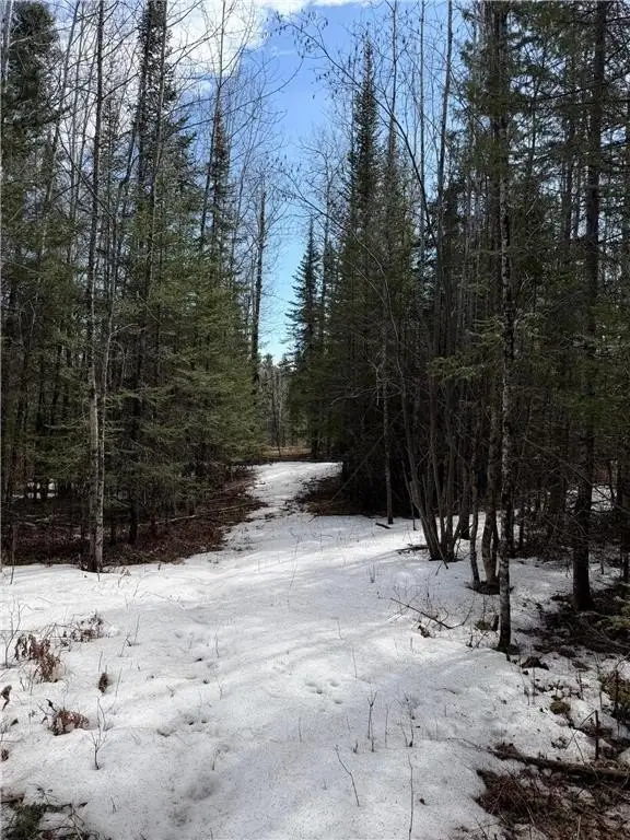 Picture 7