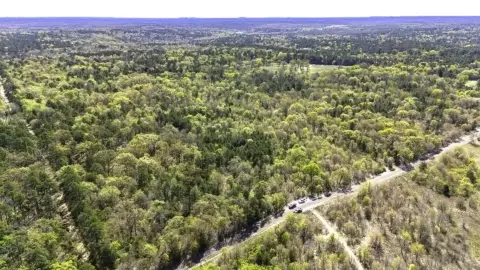 Lush Woodland Tract in Winnsboro