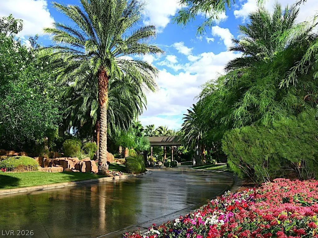 Picture 25