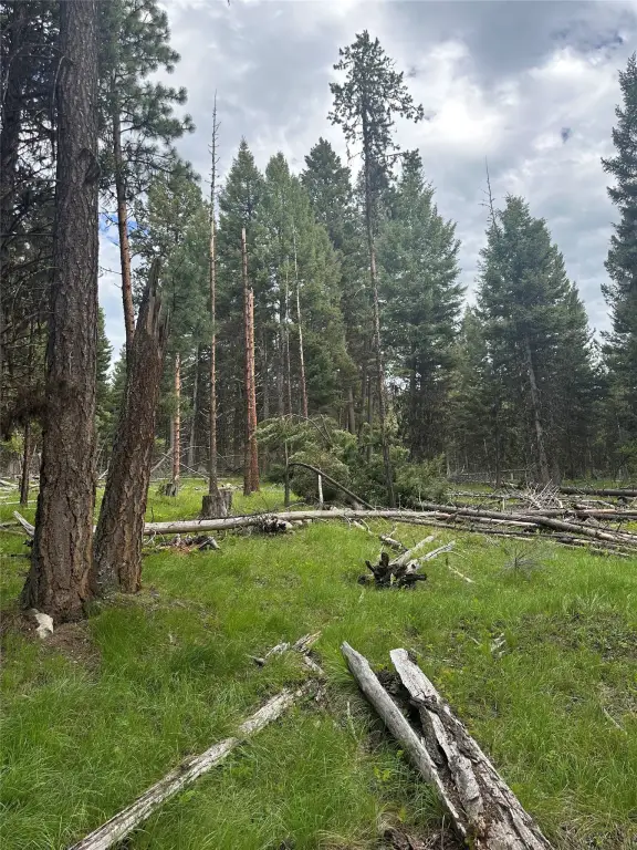 Picture 5