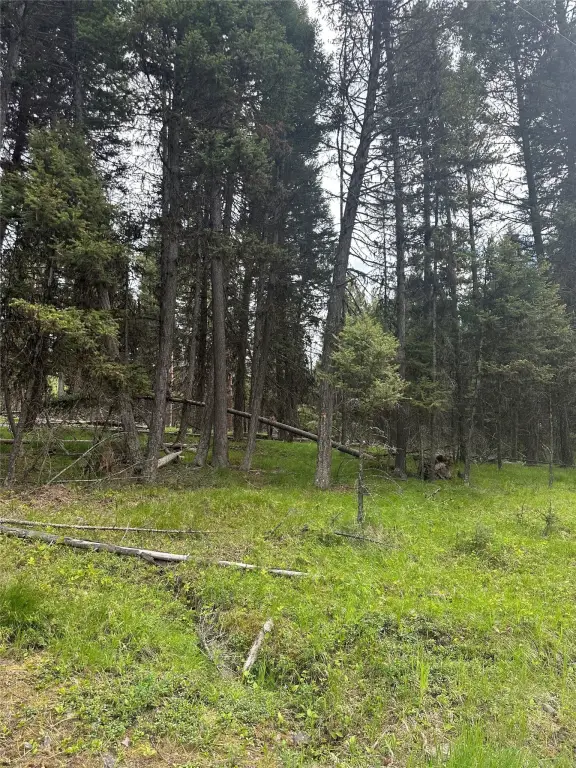 Picture 3