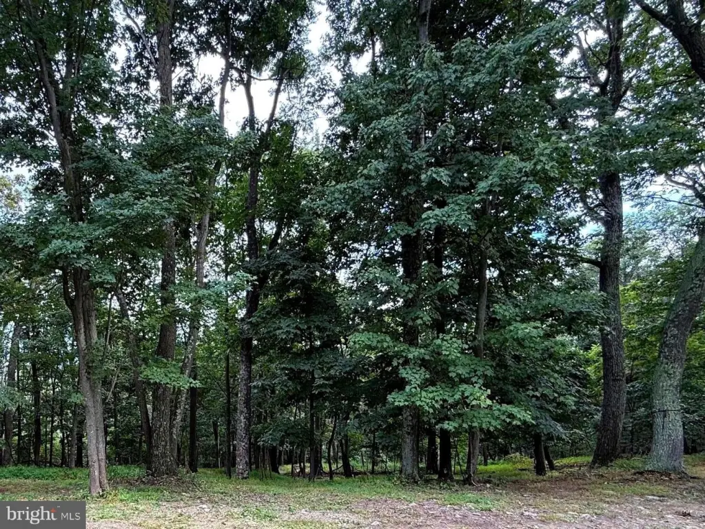 Picture 15