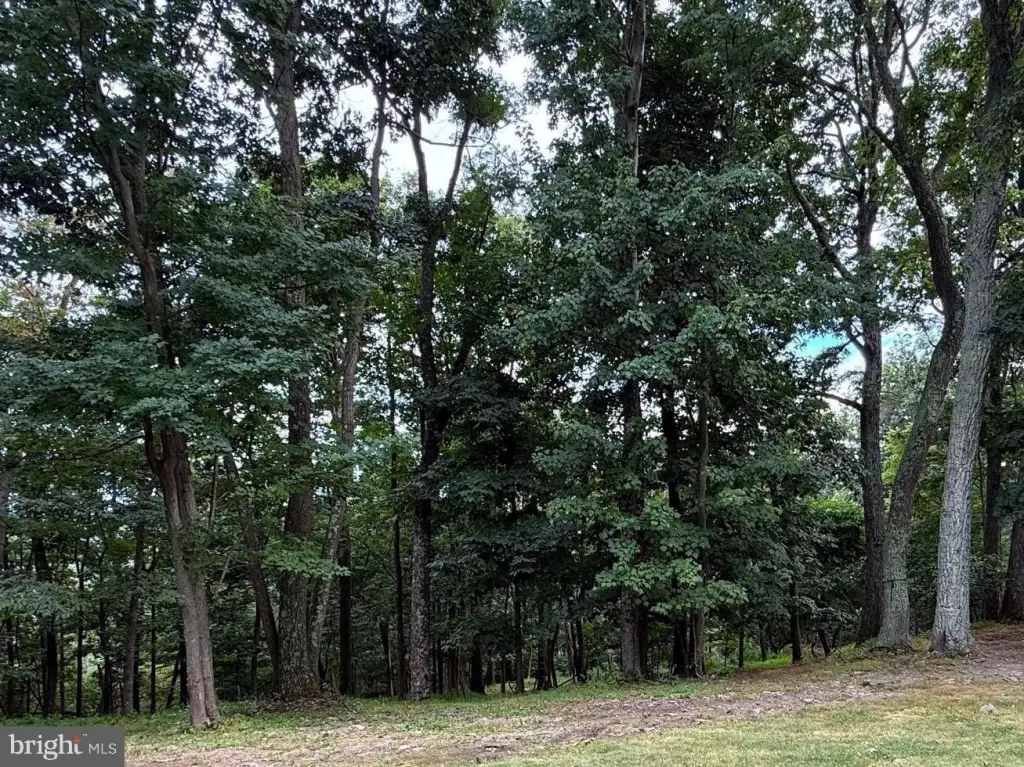Picture 4