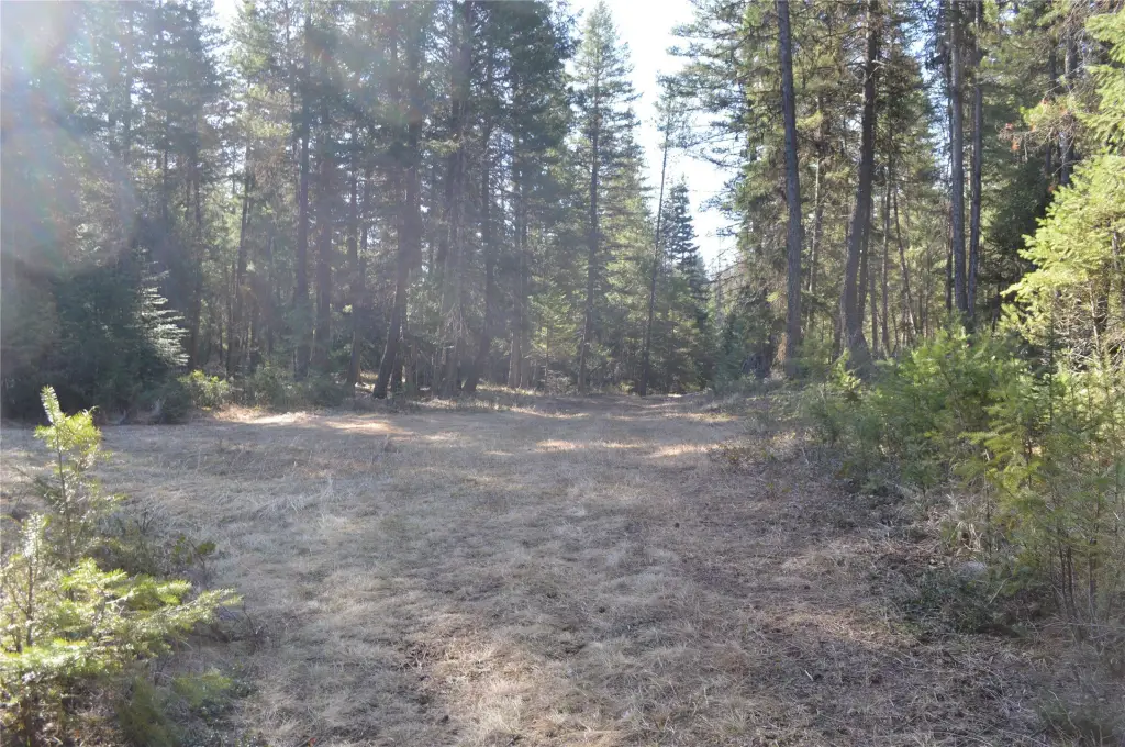 Picture 3