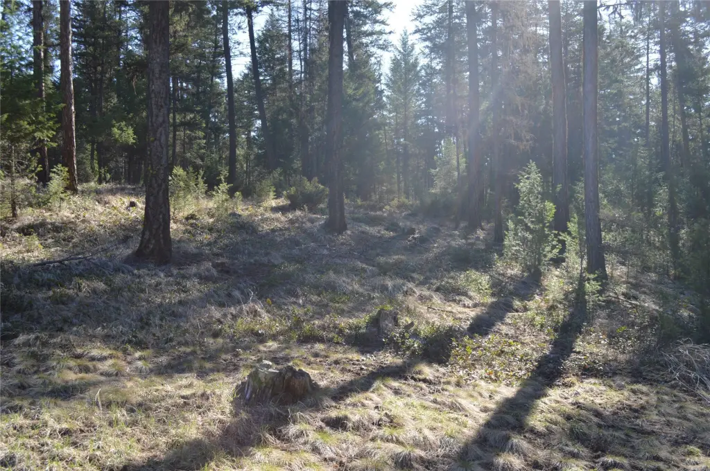 Picture 11