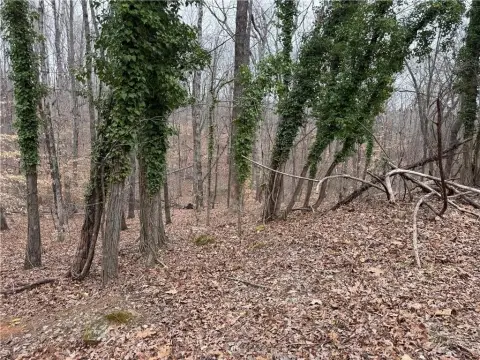 Residential Land Near Lake Lanier