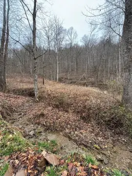 Langley, KY Residential Land