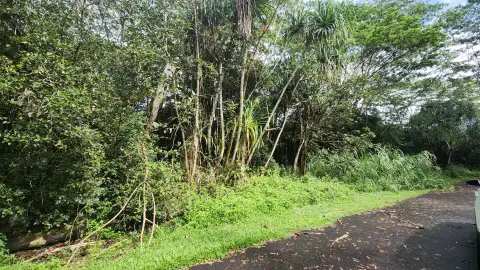 Vacant Wooded Lot in Pahoa