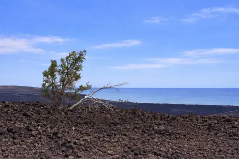 Ocean View Vacant Land Parcel