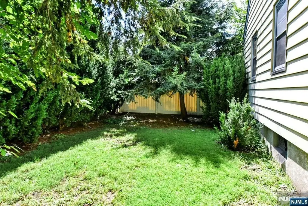 Picture 25