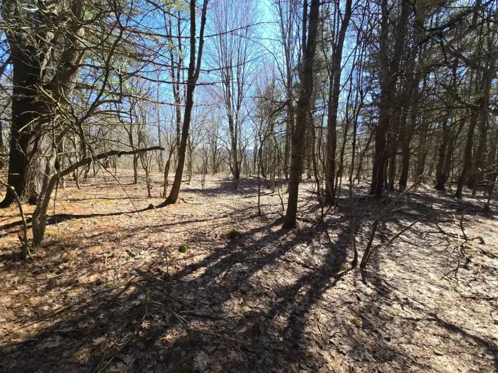 Picture 9