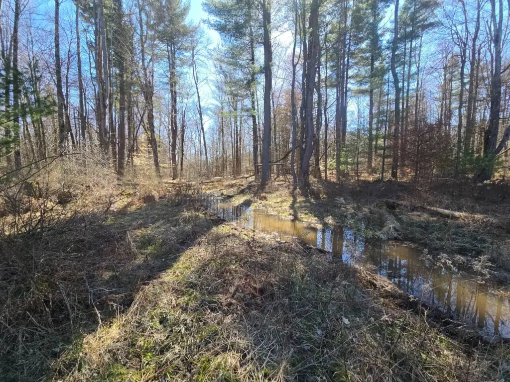 Picture 25