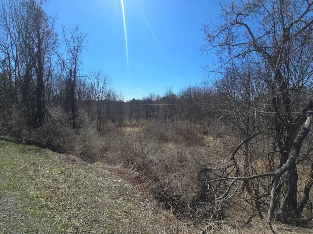 Picture 4
