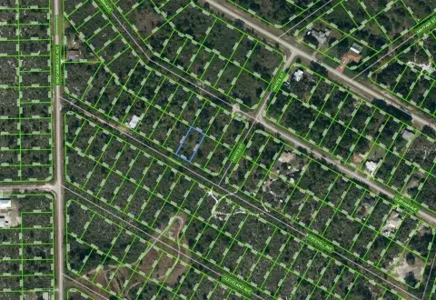 Residential Land in Lake Placid