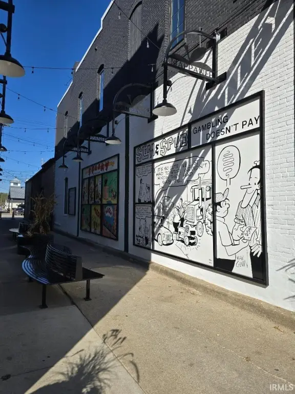 Picture 5