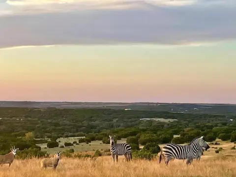 207 Acres in Burnet County