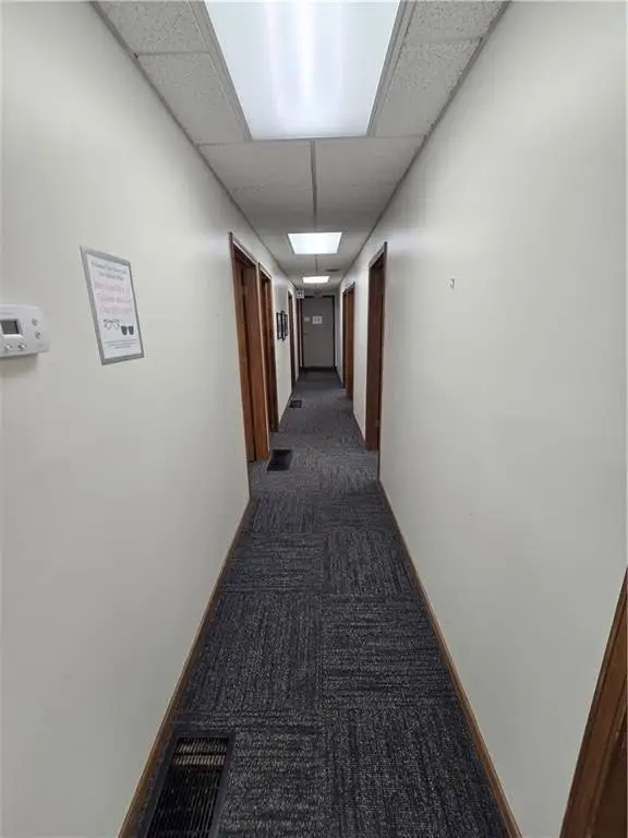Picture 24
