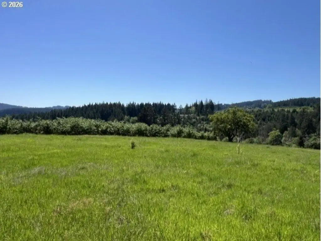 Picture 25