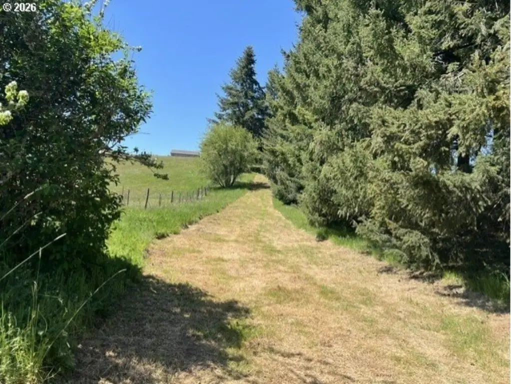 Picture 26
