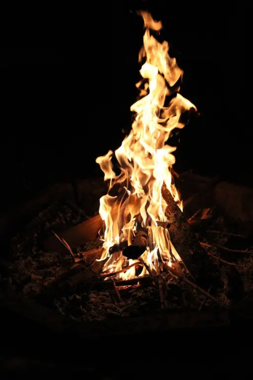Picture 8