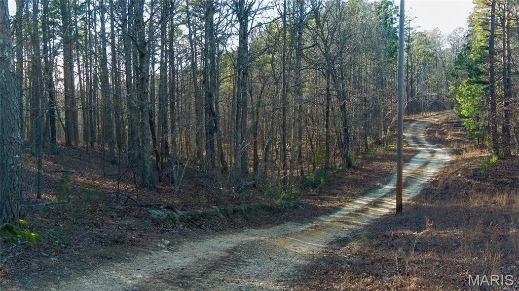 Picture 19
