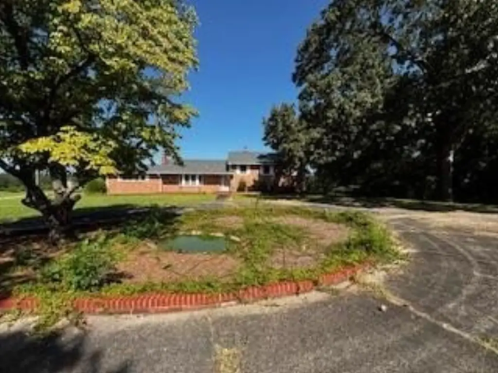 Picture 2