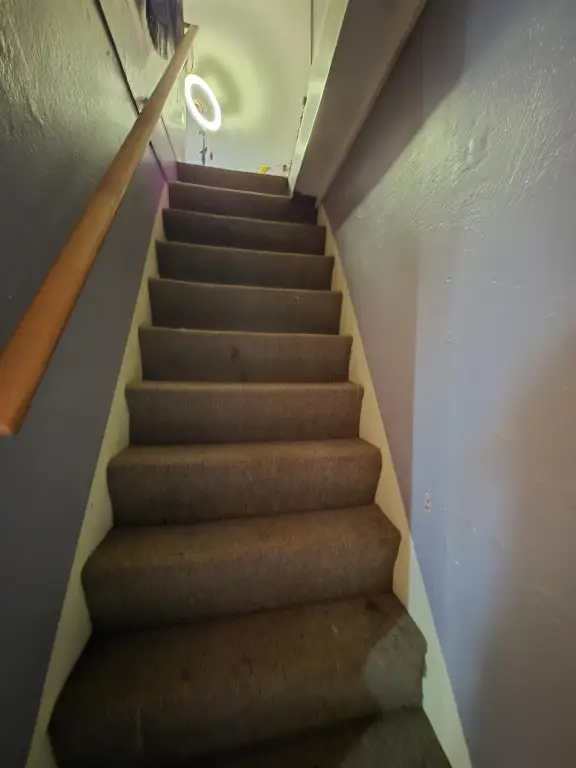 Picture 16