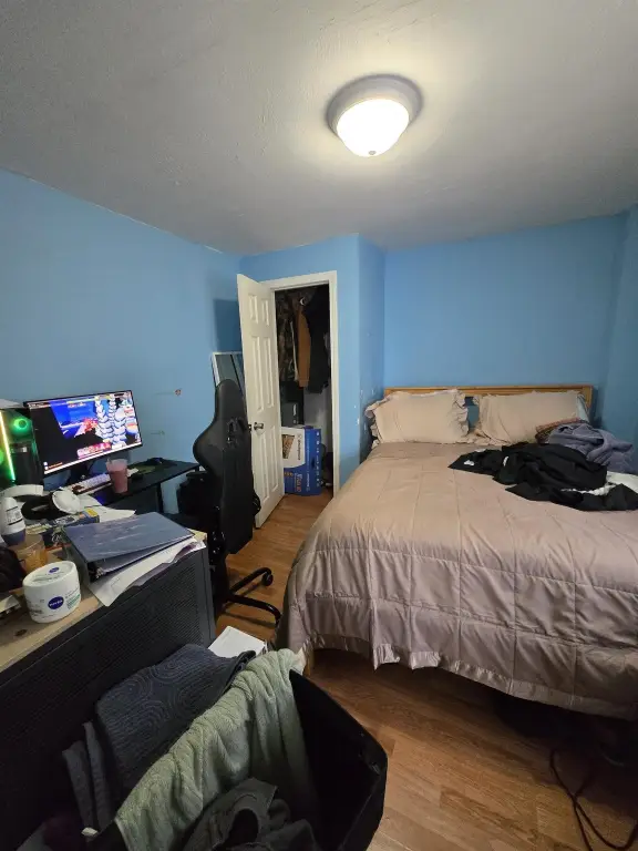 Picture 31
