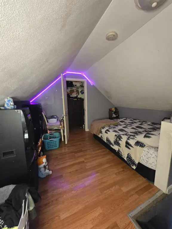 Picture 17