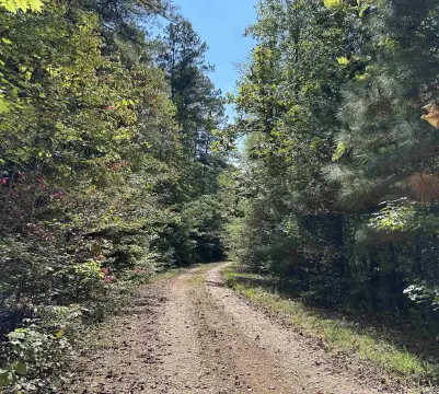 Wooded Land Tract