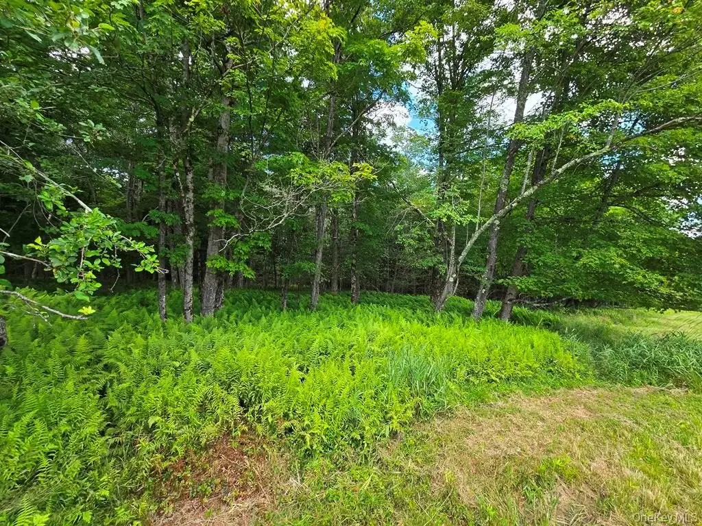 Picture 27