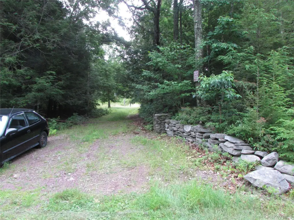 Picture 7