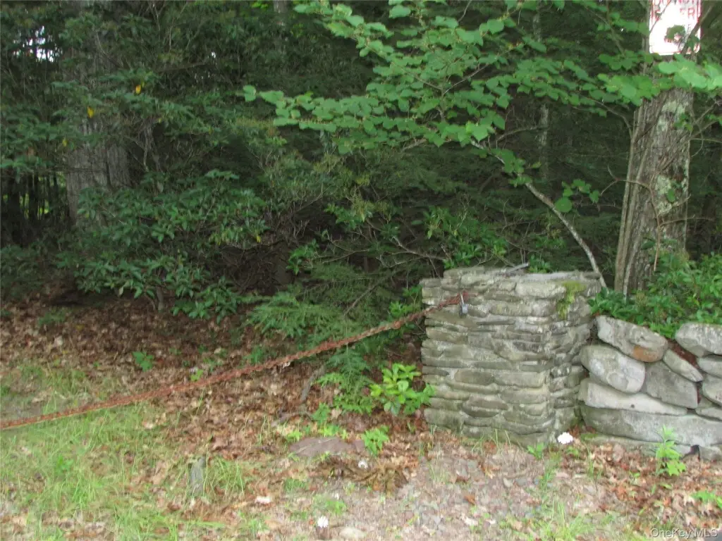 Picture 2