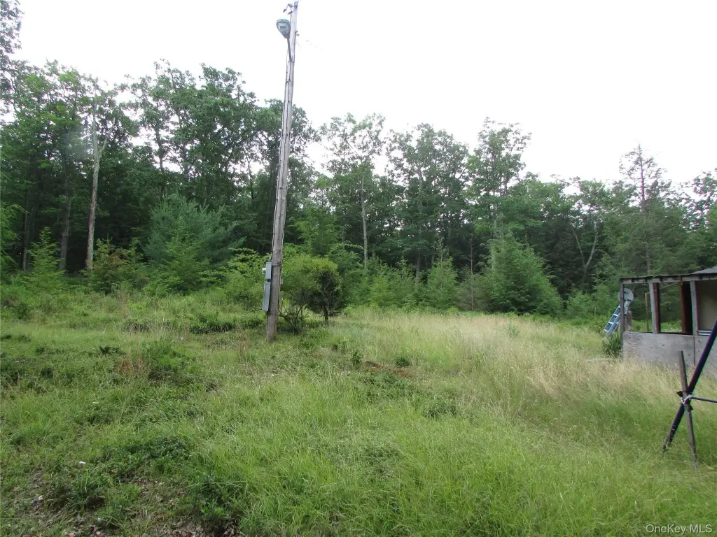 Picture 4