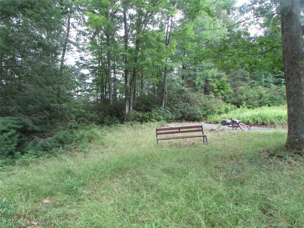Picture 3