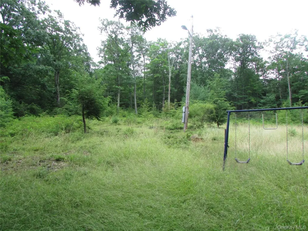 Picture 5