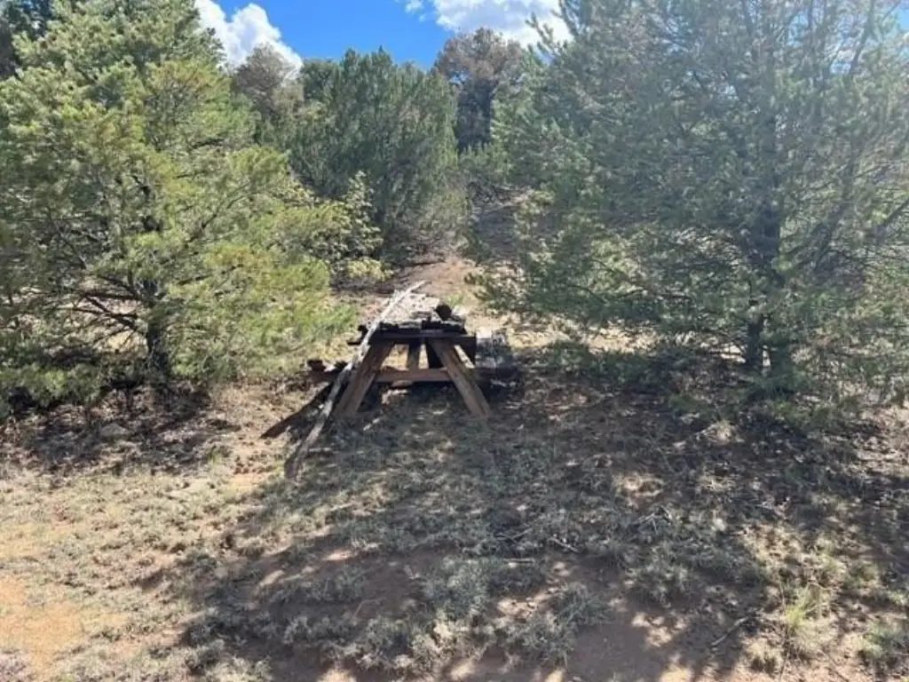 Picture 19