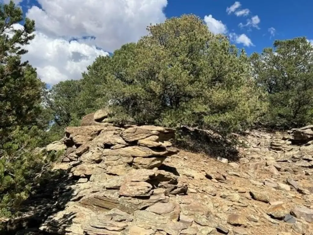 Picture 18
