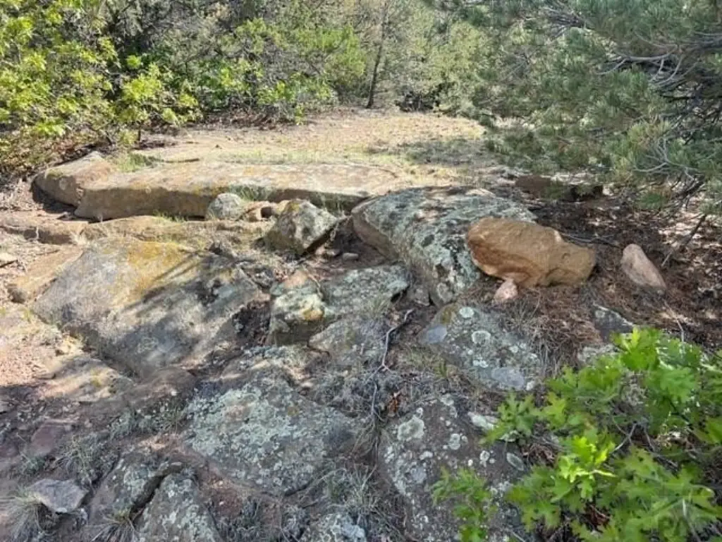 Picture 25