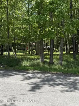 Wooded Building Lot in Arrowhead Lake