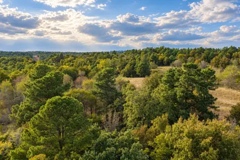 Wooded Recreational Land