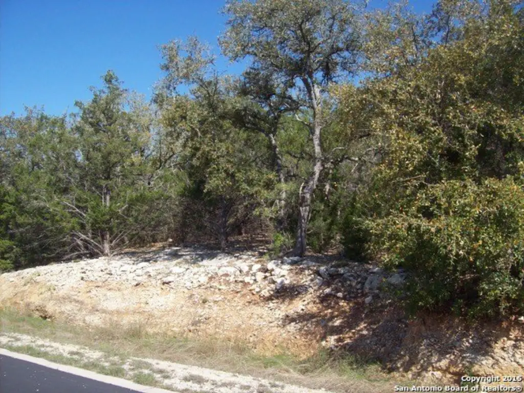 Picture 8