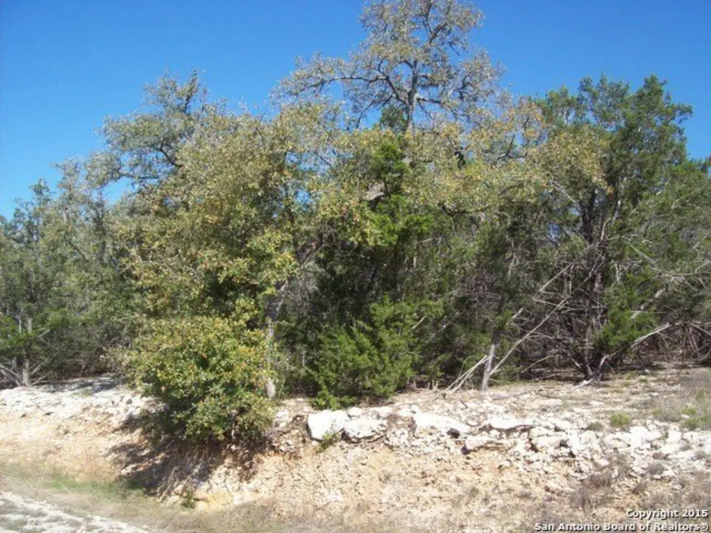 Picture 7