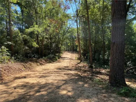 Unrestricted Acreage in Northport, Alabama