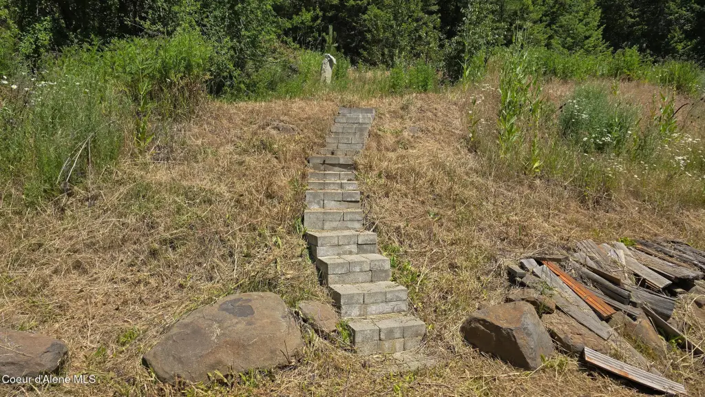 Picture 14